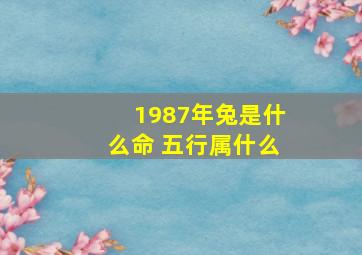 1987年兔是什么命 五行属什么